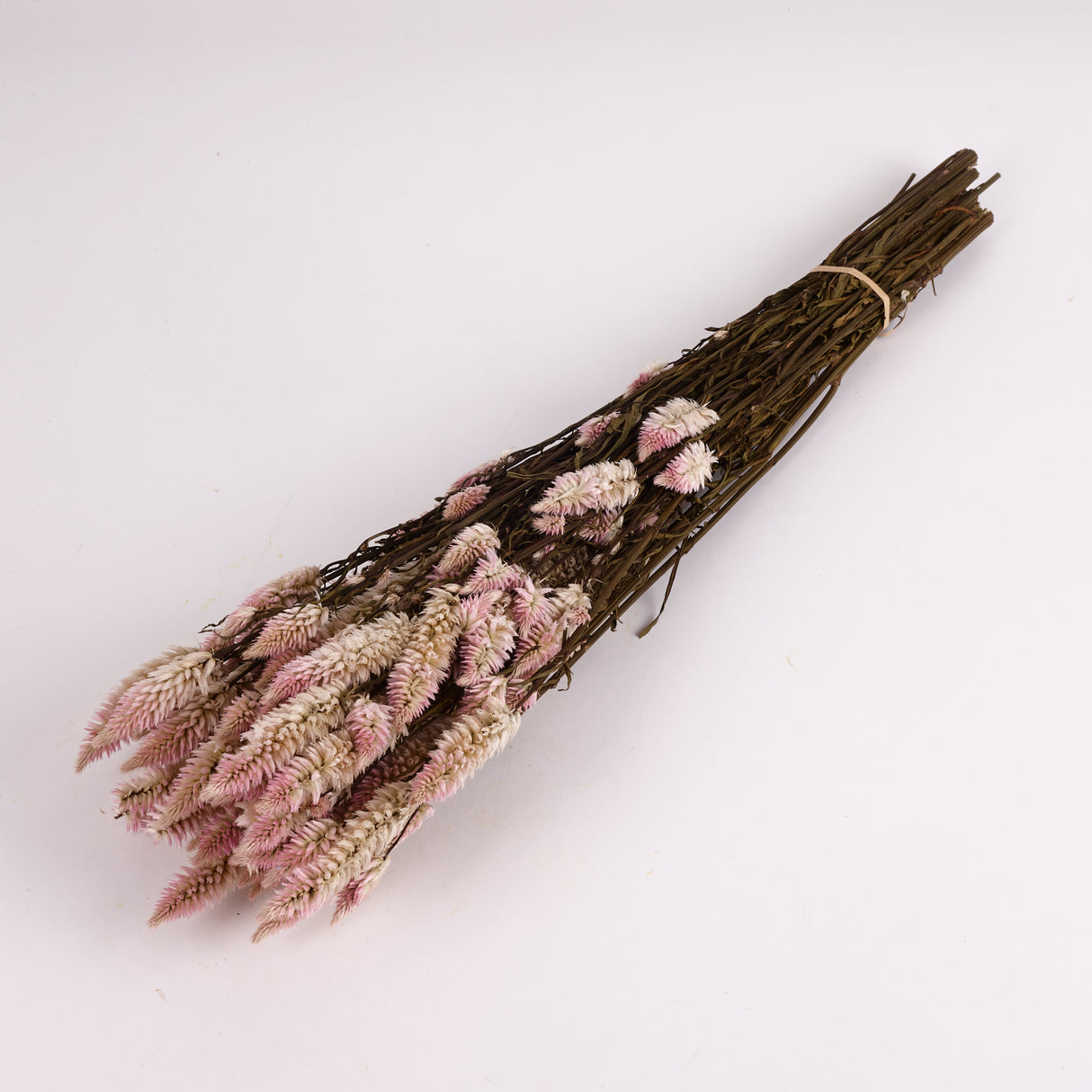 Celosia, Dried, Natural Pink, Bunch