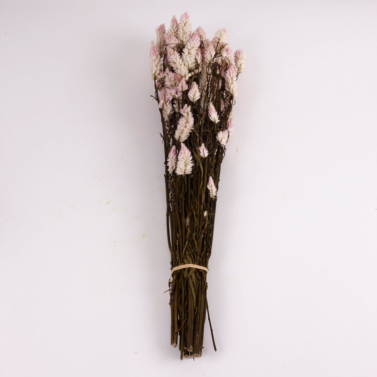 Celosia, Dried, Natural Pink, Bunch