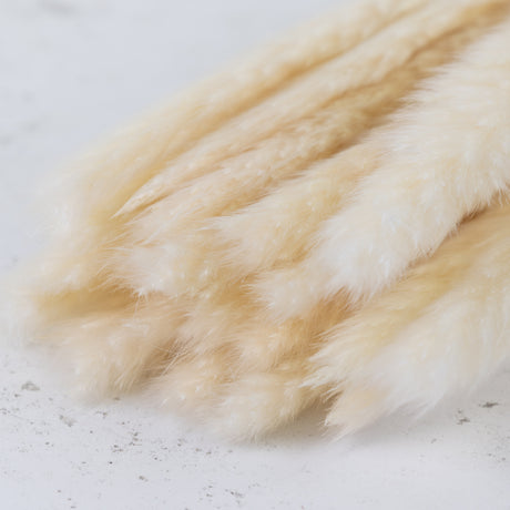 Fluffy Pampas, Bleached White, 50-70g