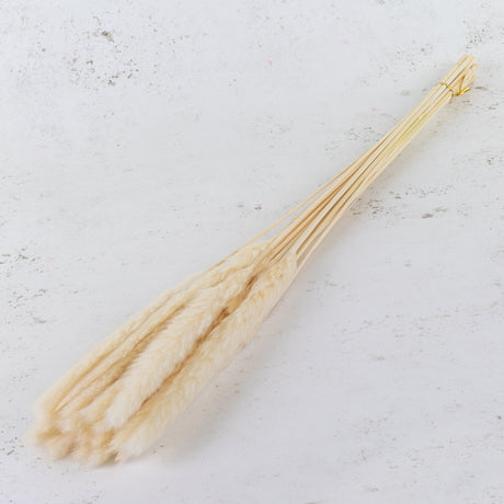 Fluffy Pampas, Bleached White, 50-70g