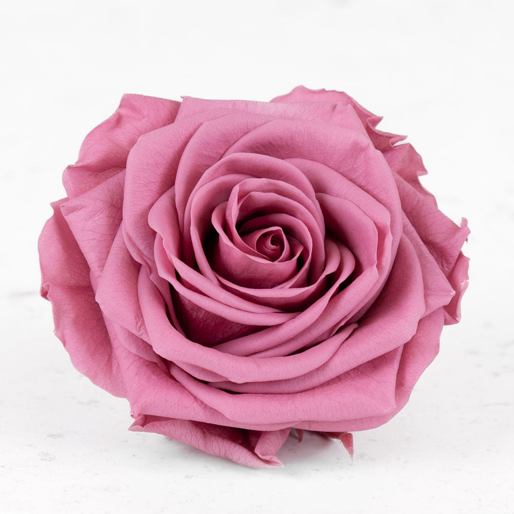 Rose Heads Preserved Prem. Cherry Vintage Box 4