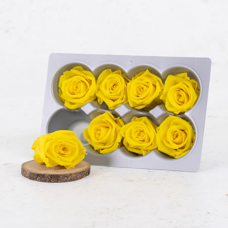 Rose Heads Preserved Medium Bright Yellow Box 8