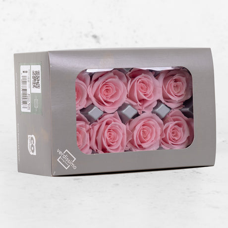 Rose Heads Preserved Medium Pastel Pink Box 8