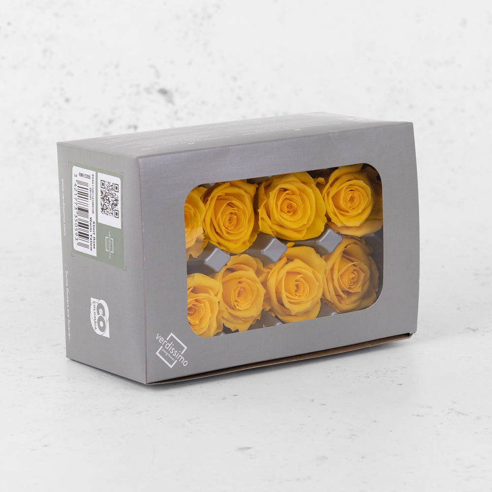 Rose Heads Preserved Med Warm Yellow Box 8