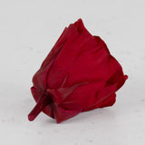 Rose Heads Preserved Medium Red Box 8