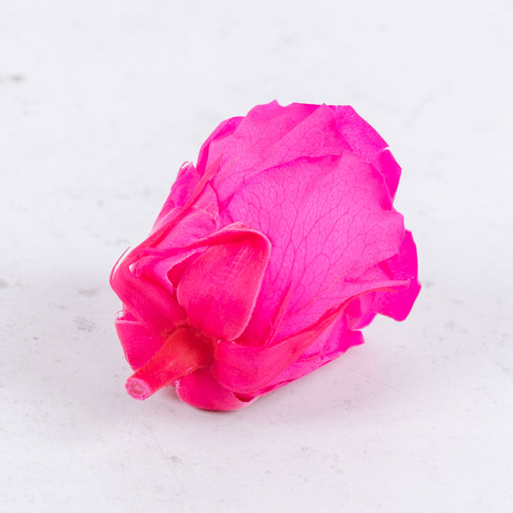 Rose Heads Preserved Med Bright Pink Box 8