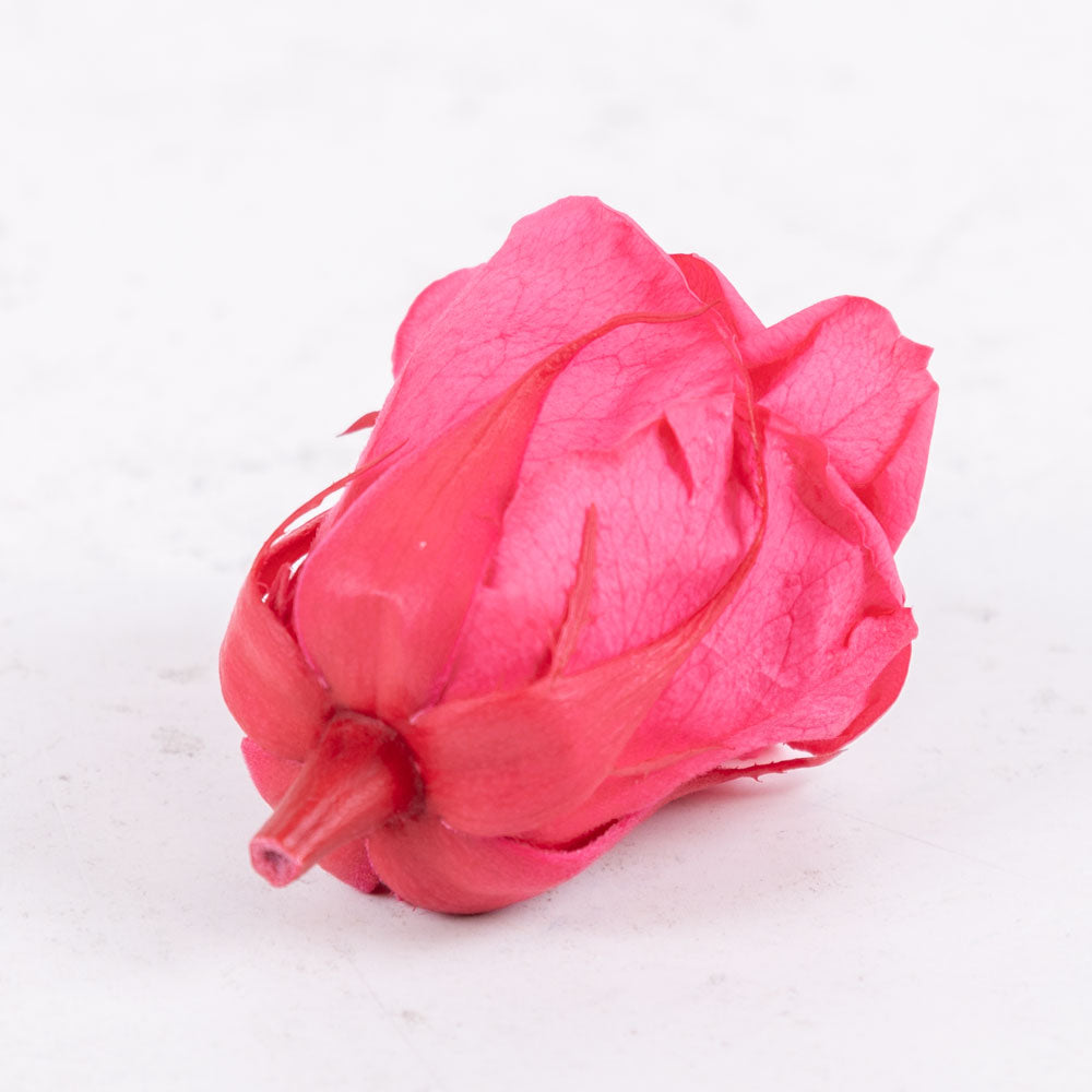 Rose Heads Preserved Med Dark Pink Box 8