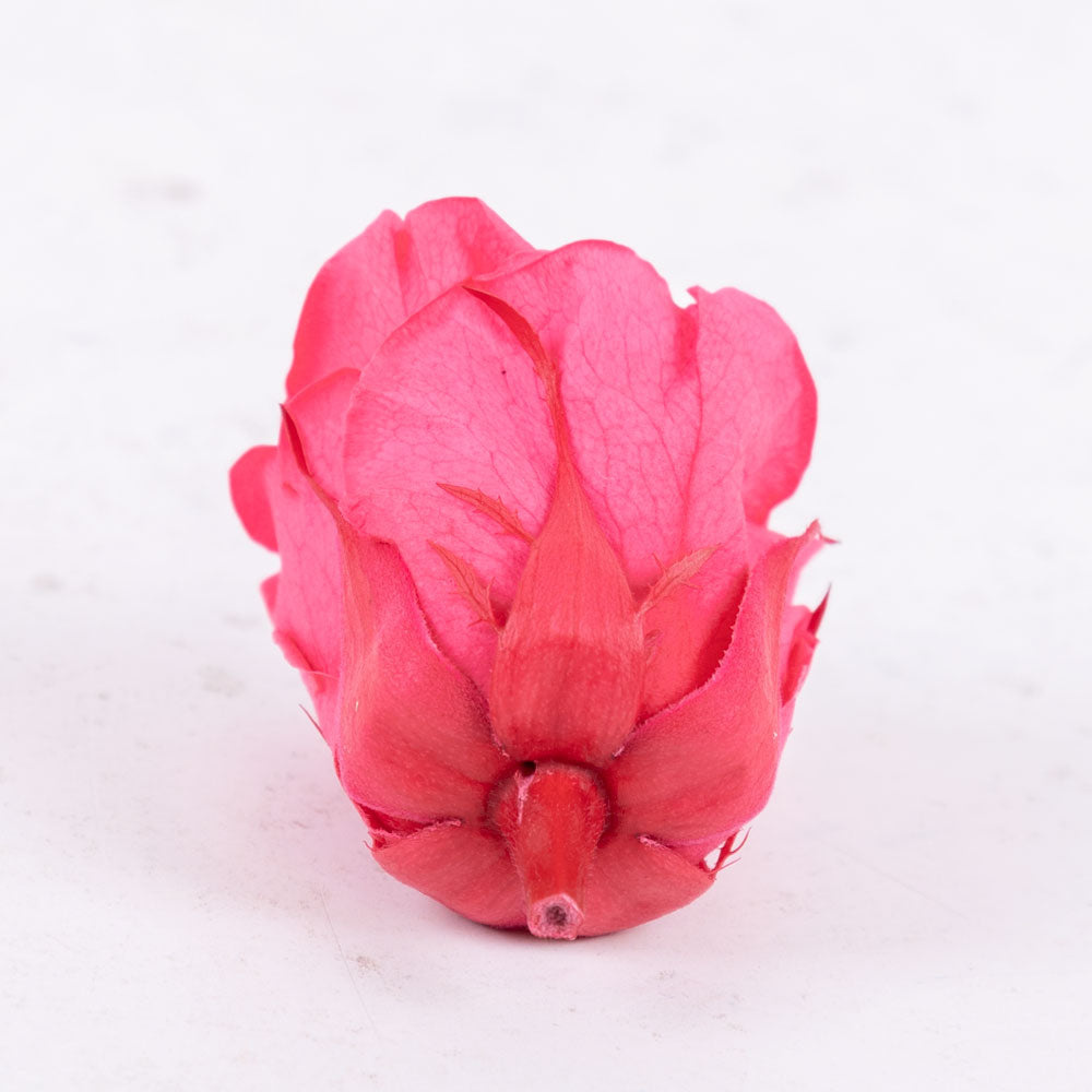 Rose Heads Preserved Med Dark Pink Box 8