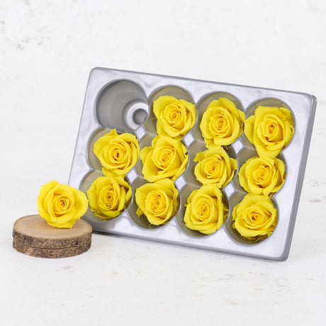 Rose Heads, Preserved, Mini, Bright Yellow, Box 12