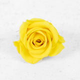 Rose Heads, Preserved, Mini, Bright Yellow, Box 12