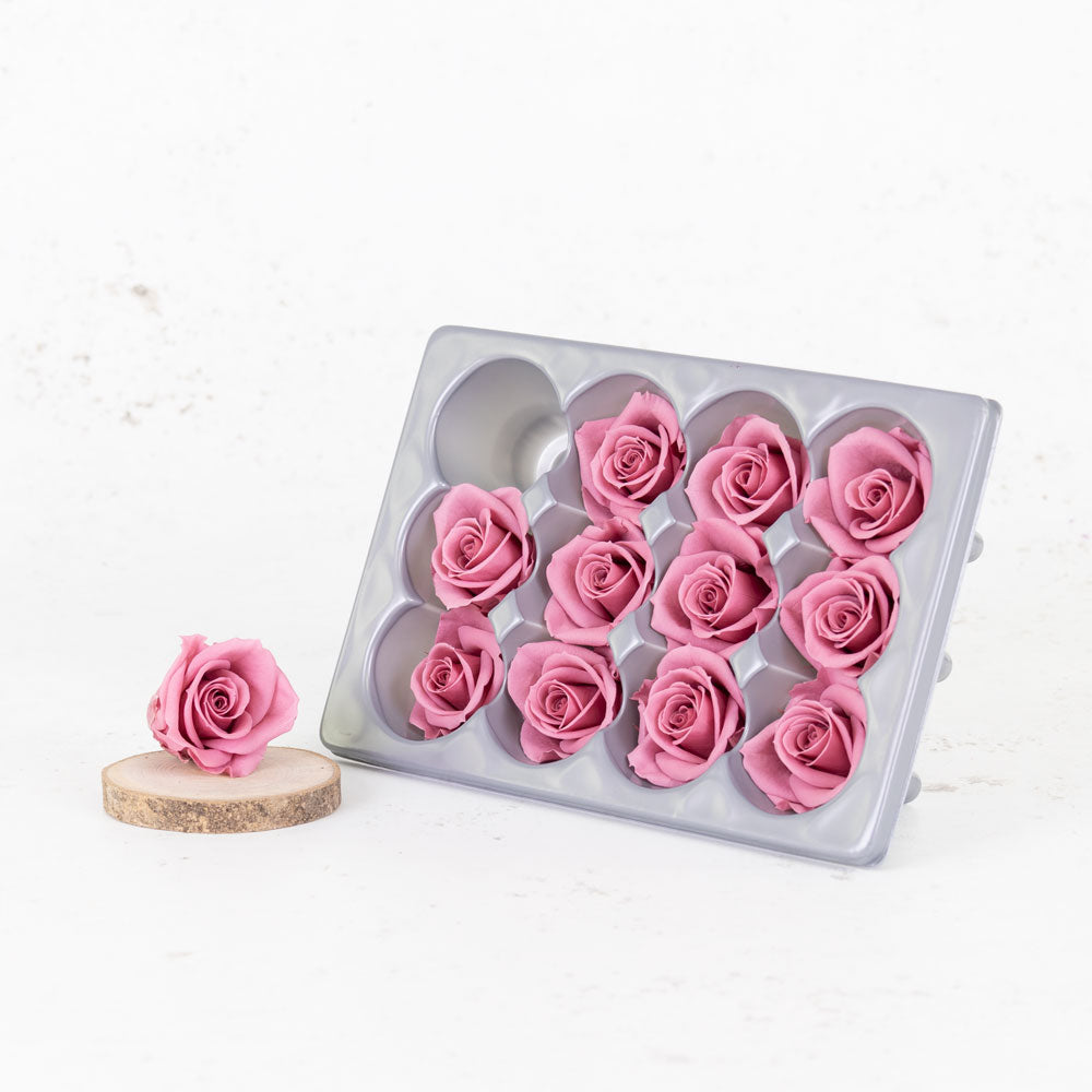12 premium, preserved rose heads in cherry vintage colour.