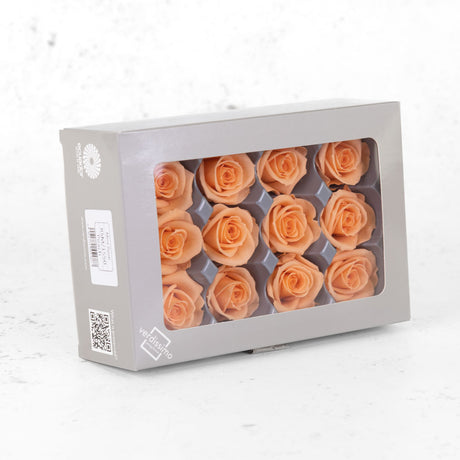 A box of premium, preserved, peach-coloured rose heads.