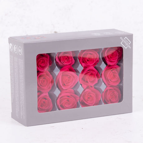 Rose Heads, Preserved, Mini, Dark Pink, Box 12