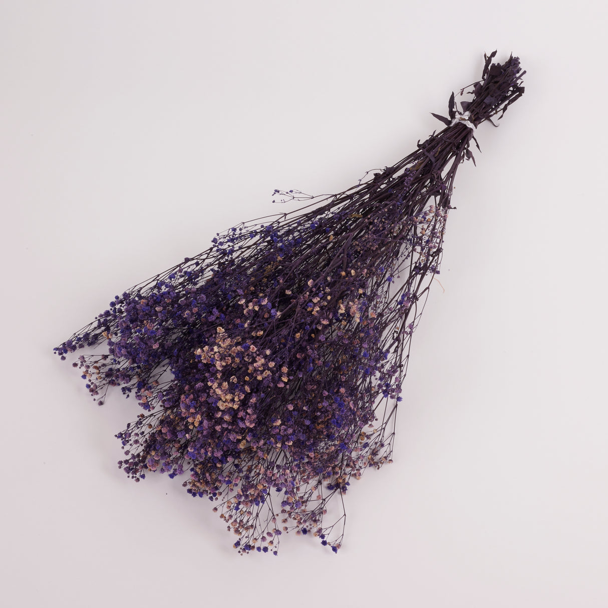 Gypsophila (Verdissimo), Preserved, Purple, 100g
