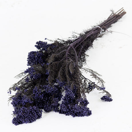 Diosmi (Rice Flower), Pres. Blue Lavender, 120g