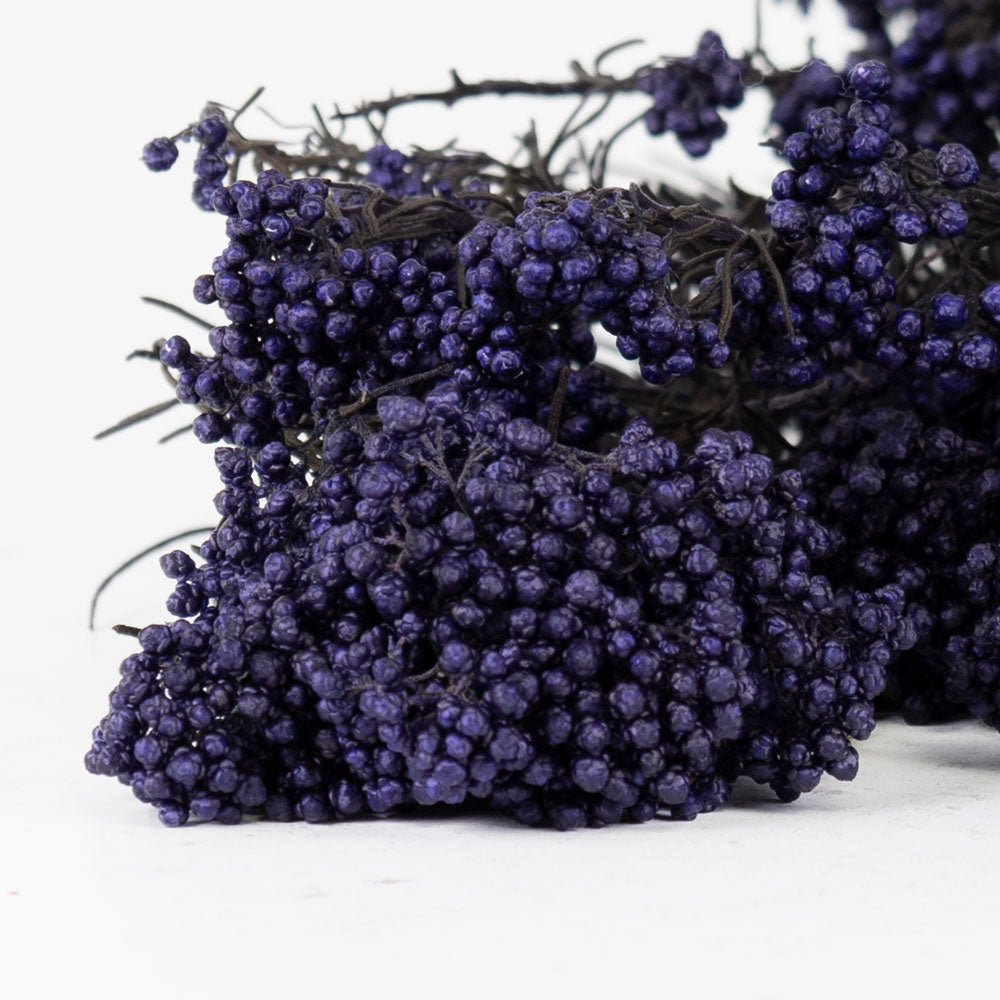 Diosmi (Rice Flower), Pres. Blue Lavender, 120g