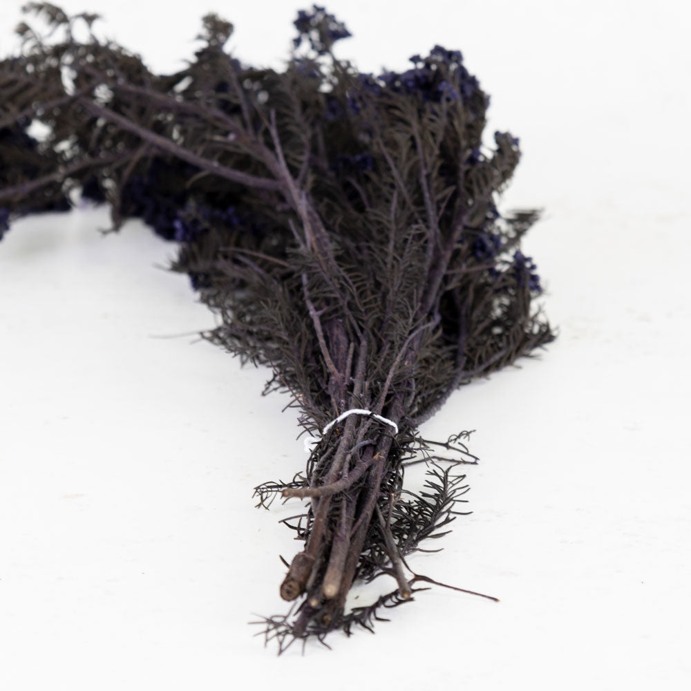 Diosmi (Rice Flower), Pres. Blue Lavender, 120g