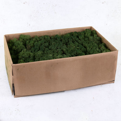 Icelandic Moss, Moss Green, 3kg