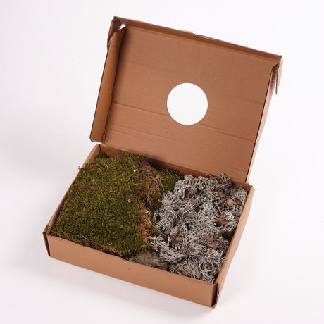 Moss, Mixed Box, 650g