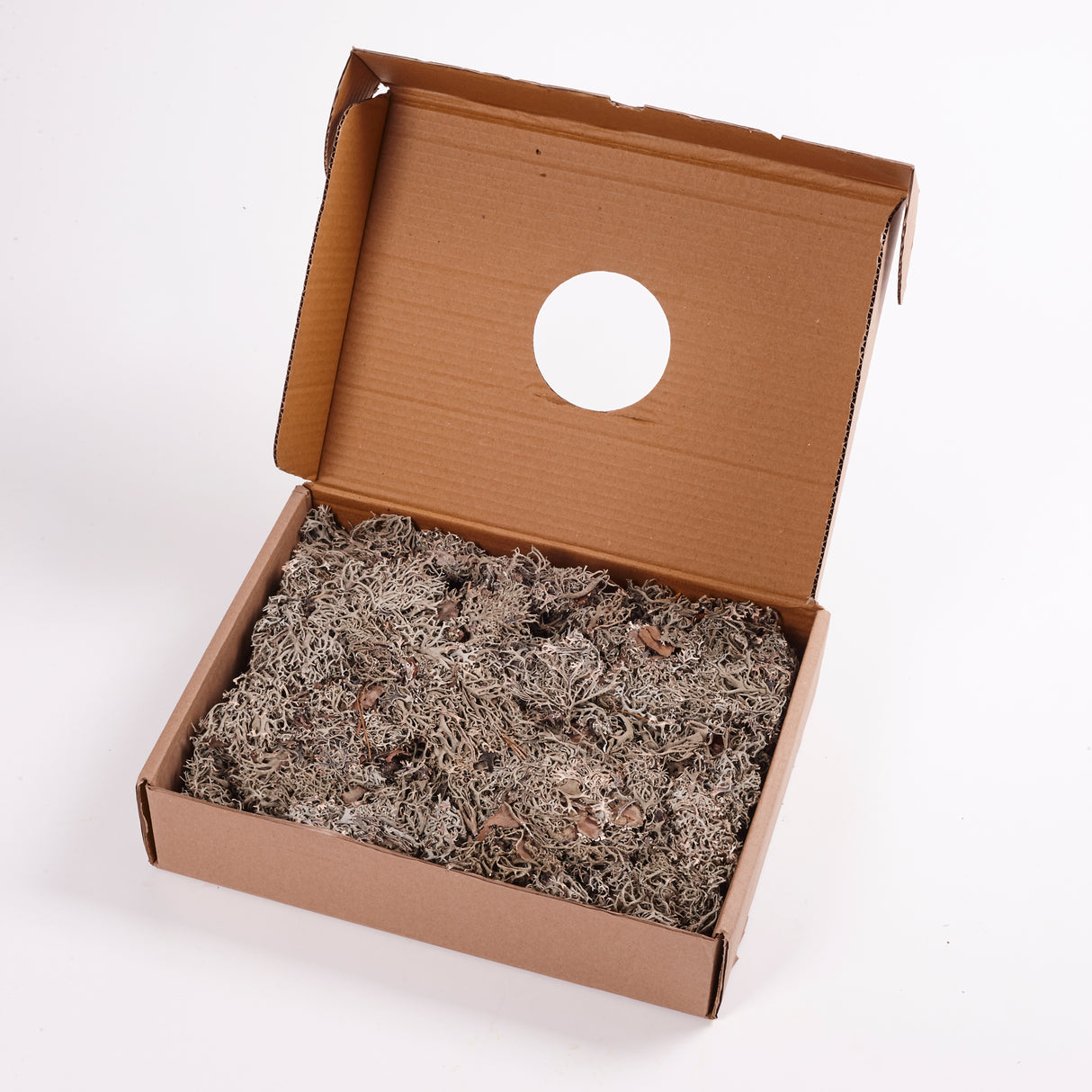 Moss, Lychen, Natural, 500g