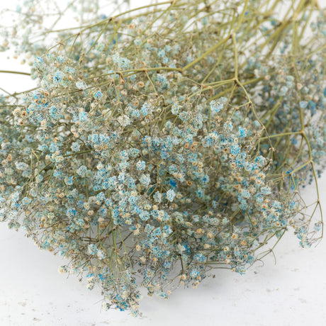 A close up of the top of a dried, light blue gypsophila bunch, showing the flowers.