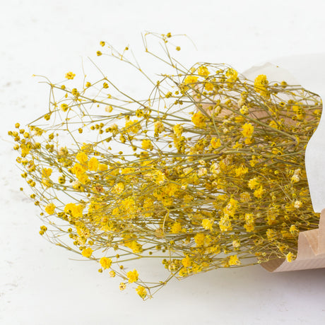 A close up of the top of a dried, yellow gypsophila bunch, showing the flowers.