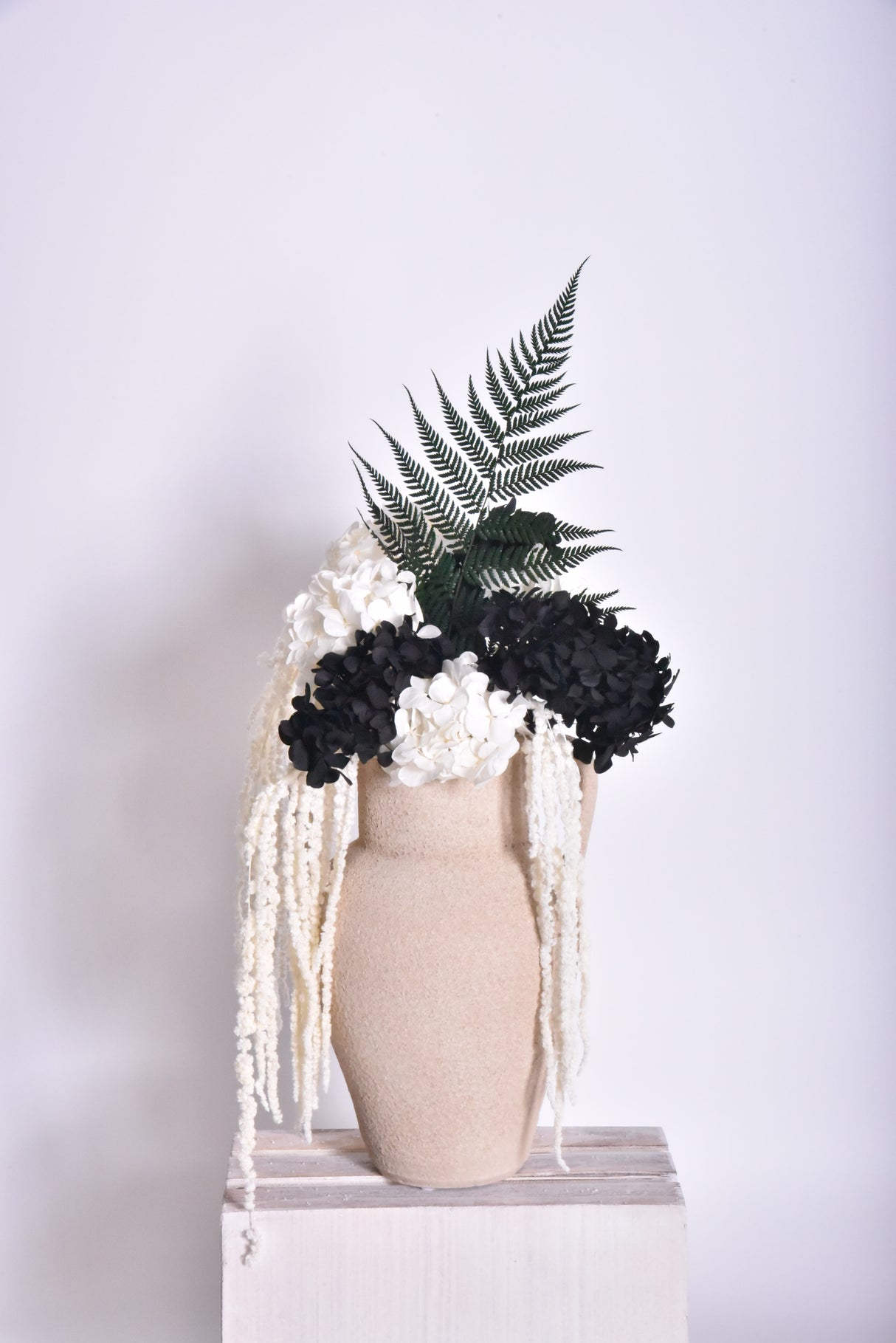 Hydrangea, (Verdissimo), Preserved, Black