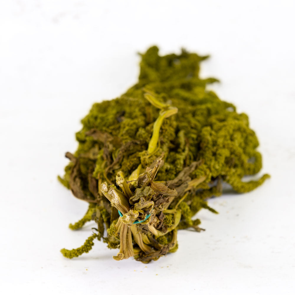 Amaranthus caudatus, Almond Green, 140g