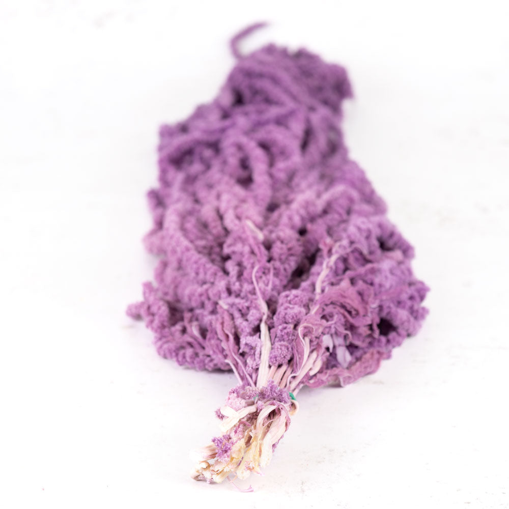 Amaranthus caudatus, Violet, 140g