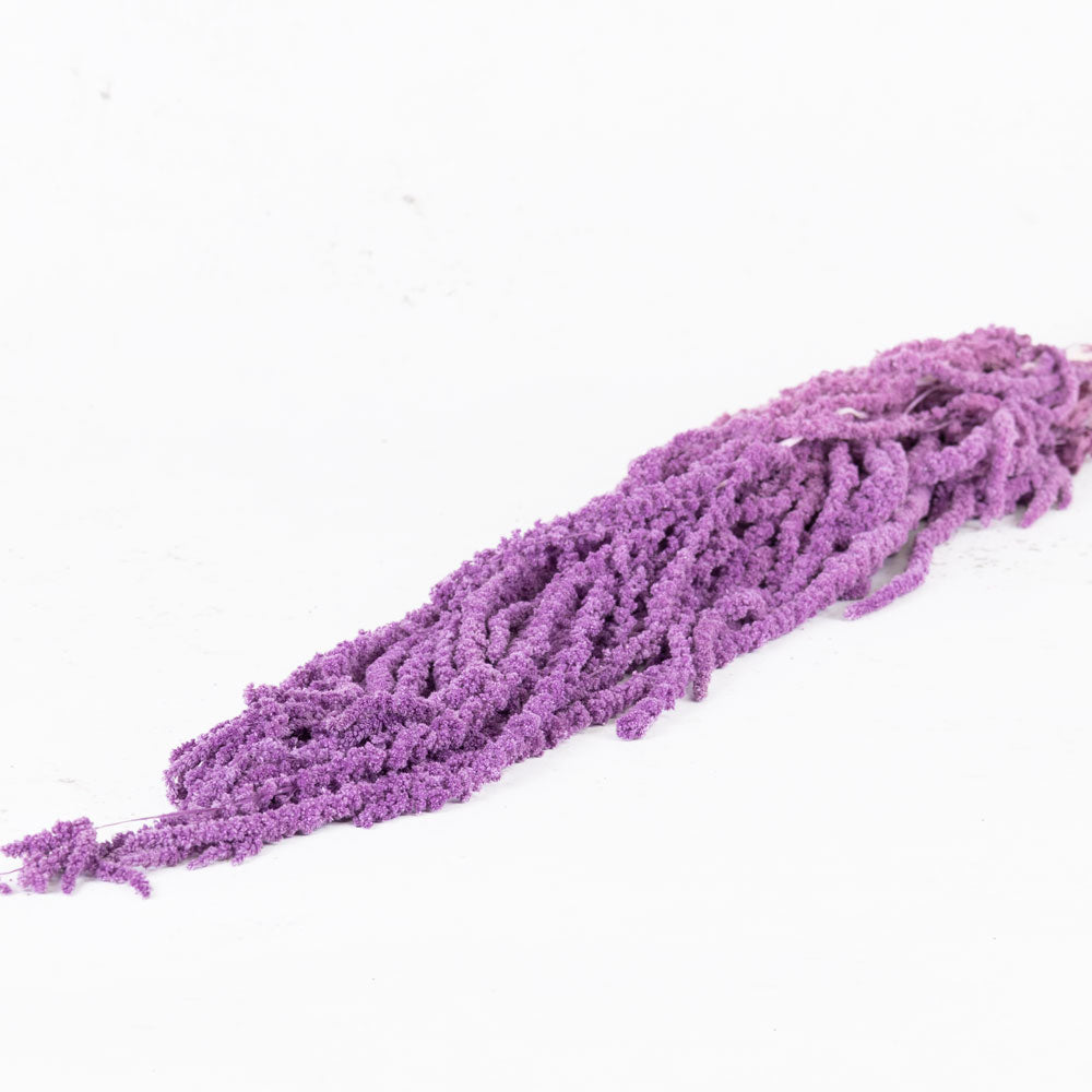 Amaranthus caudatus, Violet, 140g