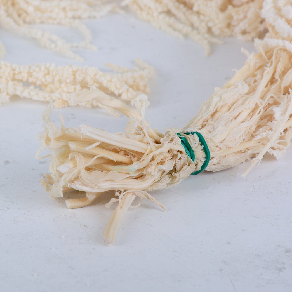 Amaranthus caudatus, Preserved, White, 140g