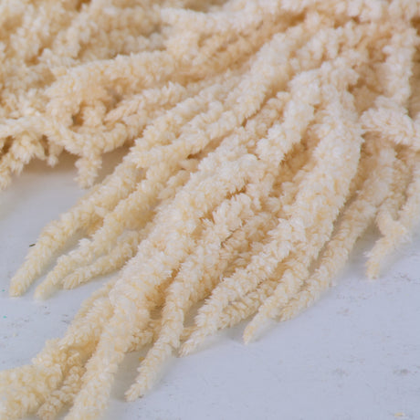 Amaranthus caudatus, Preserved, White, 140g