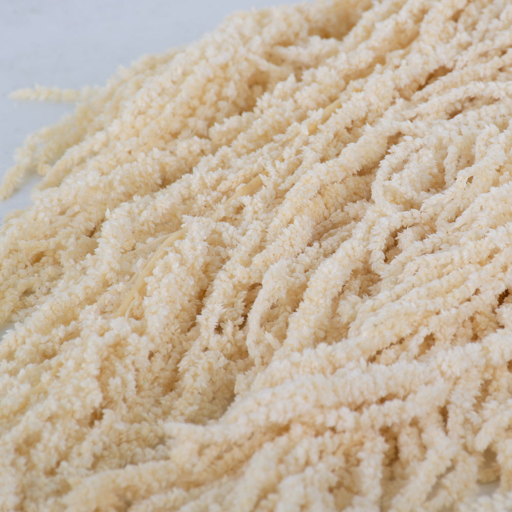 Amaranthus caudatus, Preserved, White, 140g