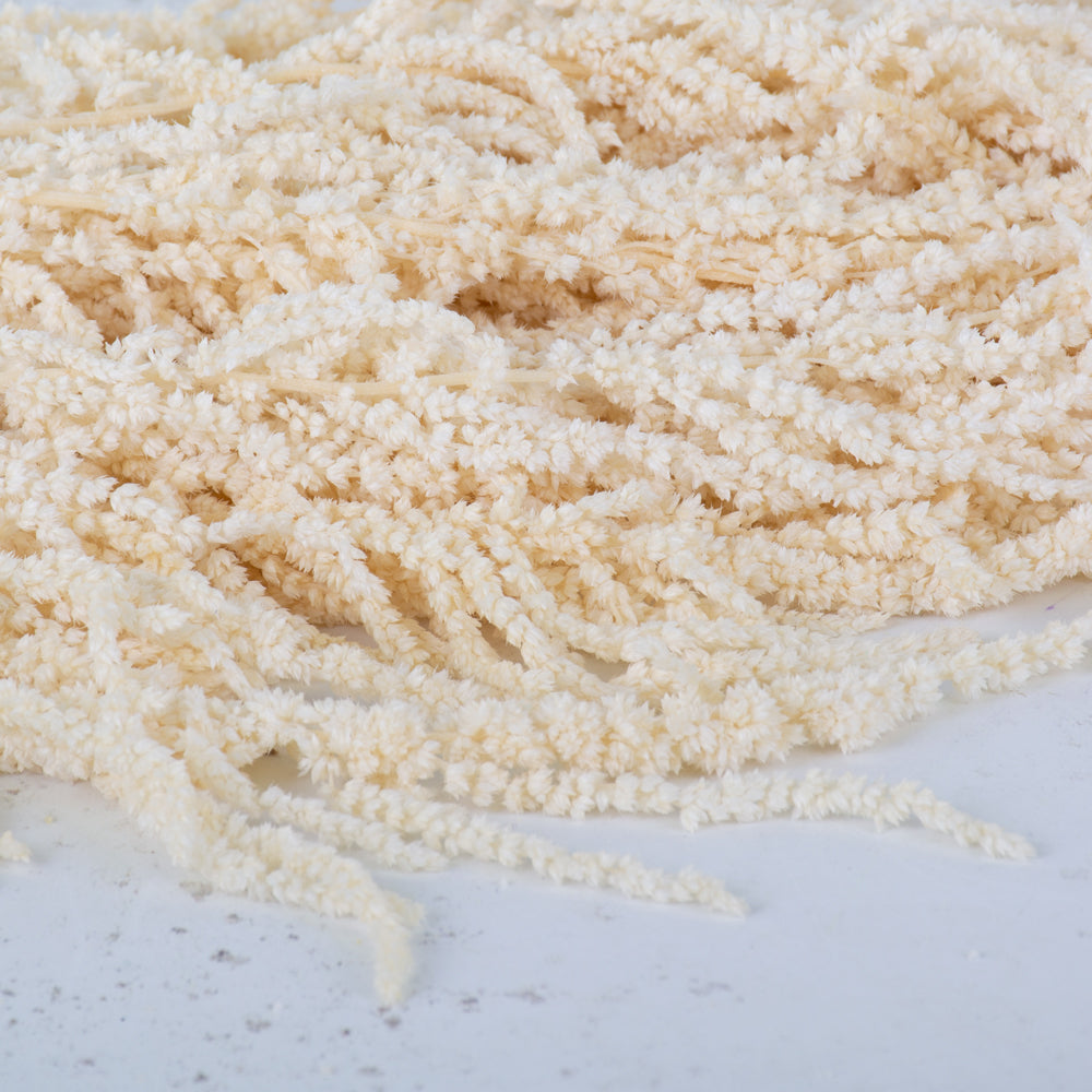 Amaranthus caudatus, Preserved, White, 140g