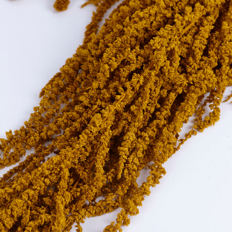 Amaranthus Caudatus (Verdissimo), Preserved, Dijon Gold, 140g