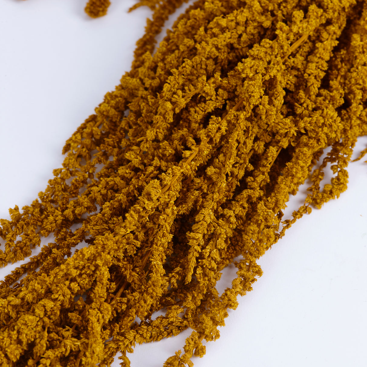 Amaranthus Caudatus (Verdissimo), Preserved, Dijon Gold, 140g