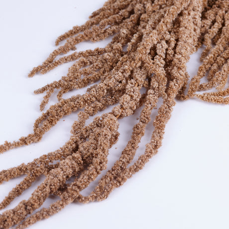 Amaranthus Caudatus (Verdissimo), Preserved, Hazelnut, 140g