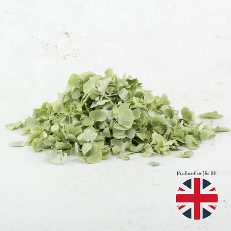 Hydrangea Petals, Freeze Dried - Sage Green, 5L