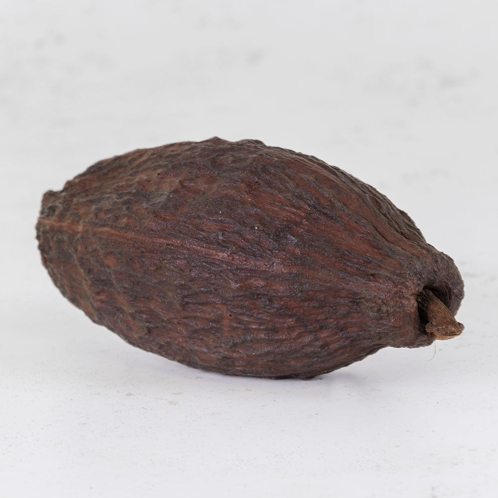 Cacao Pod, Natural, 12-18cm, Bag of 10