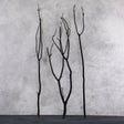 Mitsumata Twigs, Flocked Black, 115cm, x 3 Stems