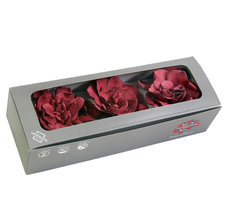 Gardenia Heads (Verdissimo), Preserved, Cranberry, Box x 3