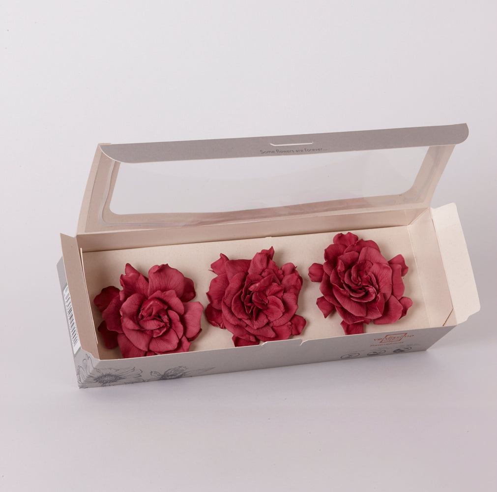 Gardenia Heads (Verdissimo), Preserved, Cranberry, Box x 3