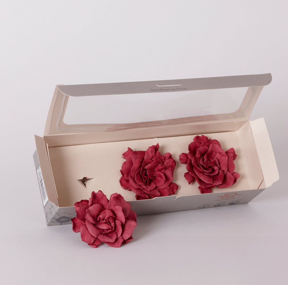 Gardenia Heads (Verdissimo), Preserved, Cranberry, Box x 3