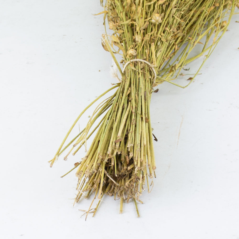 A close up of straw like stems