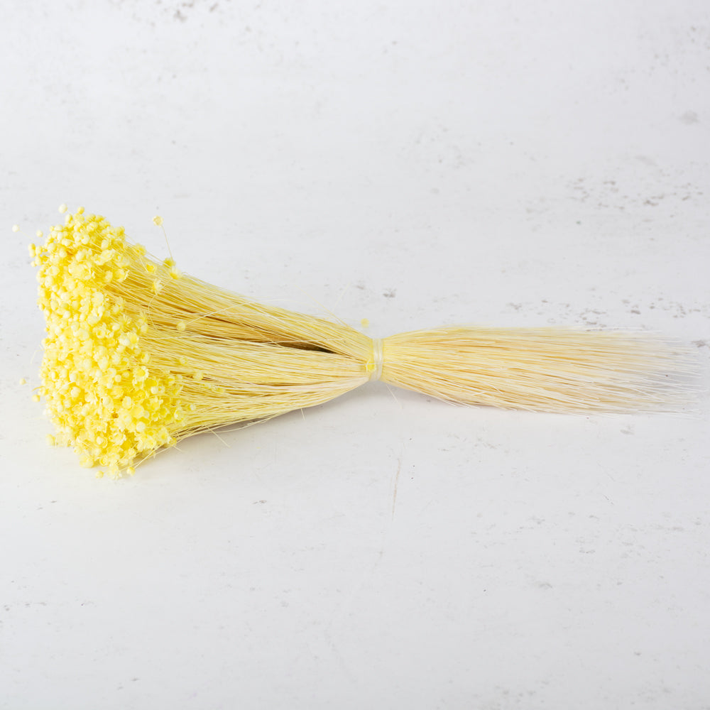 Glixia Flower, Dried, Pastel Yellow, 50g