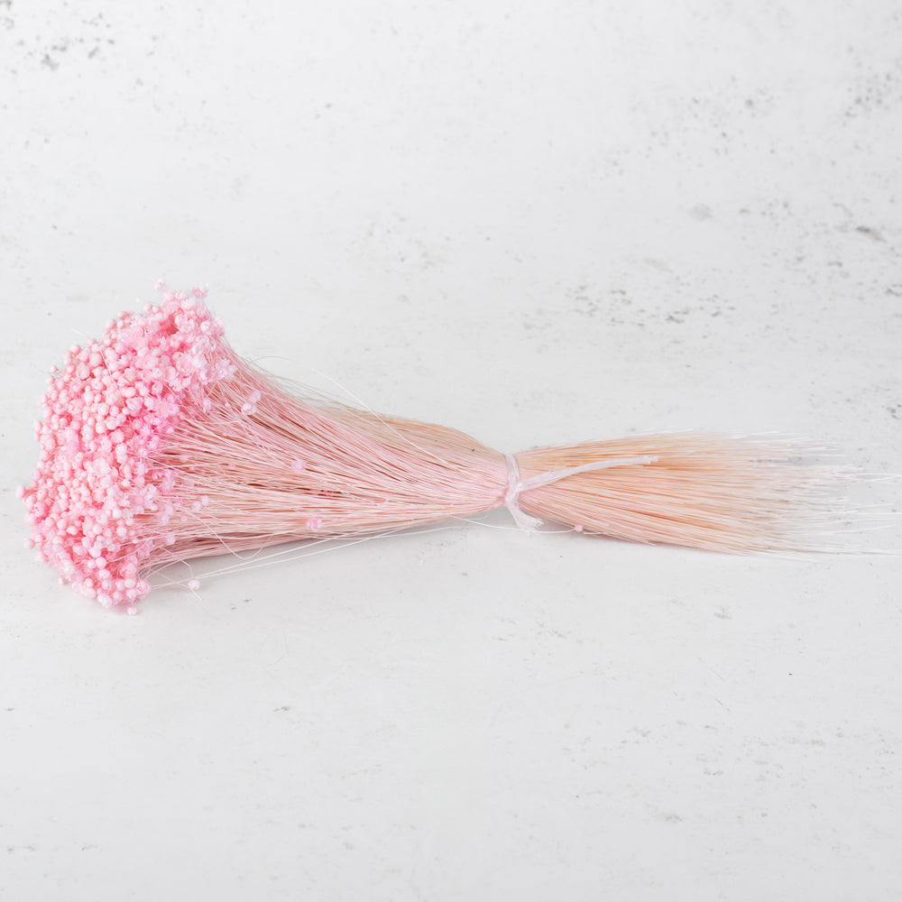 Glixia Flower, Dried, Pastel Pink, 50g