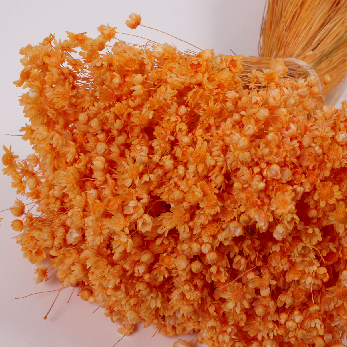 Glixia Flower, Dried, Orange, 50g