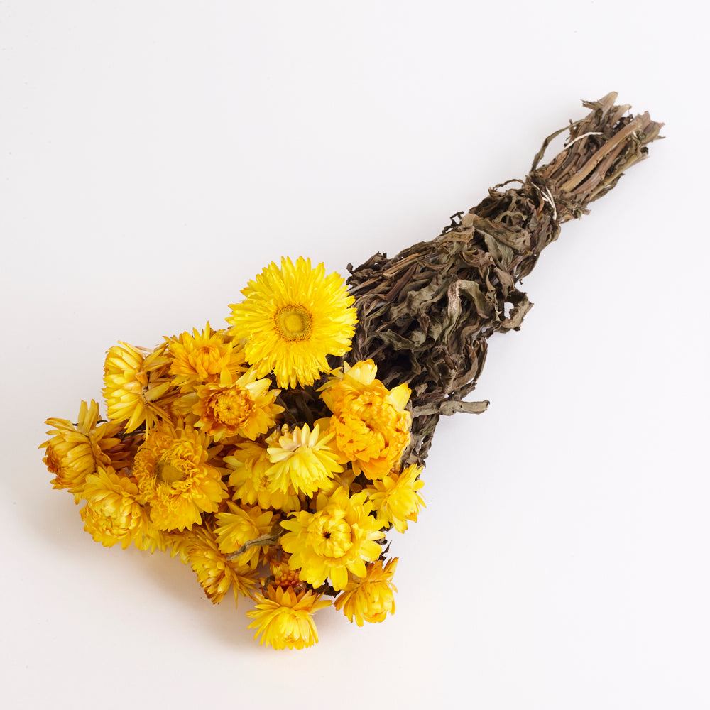 Helichrysum, (Strawflower), Dried, Natural Yellow