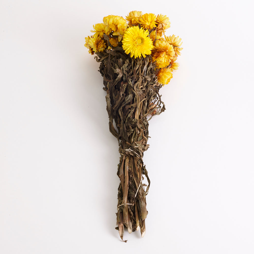 Helichrysum, (Strawflower), Dried, Natural Yellow