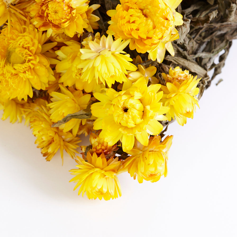 Helichrysum, (Strawflower), Dried, Natural Yellow
